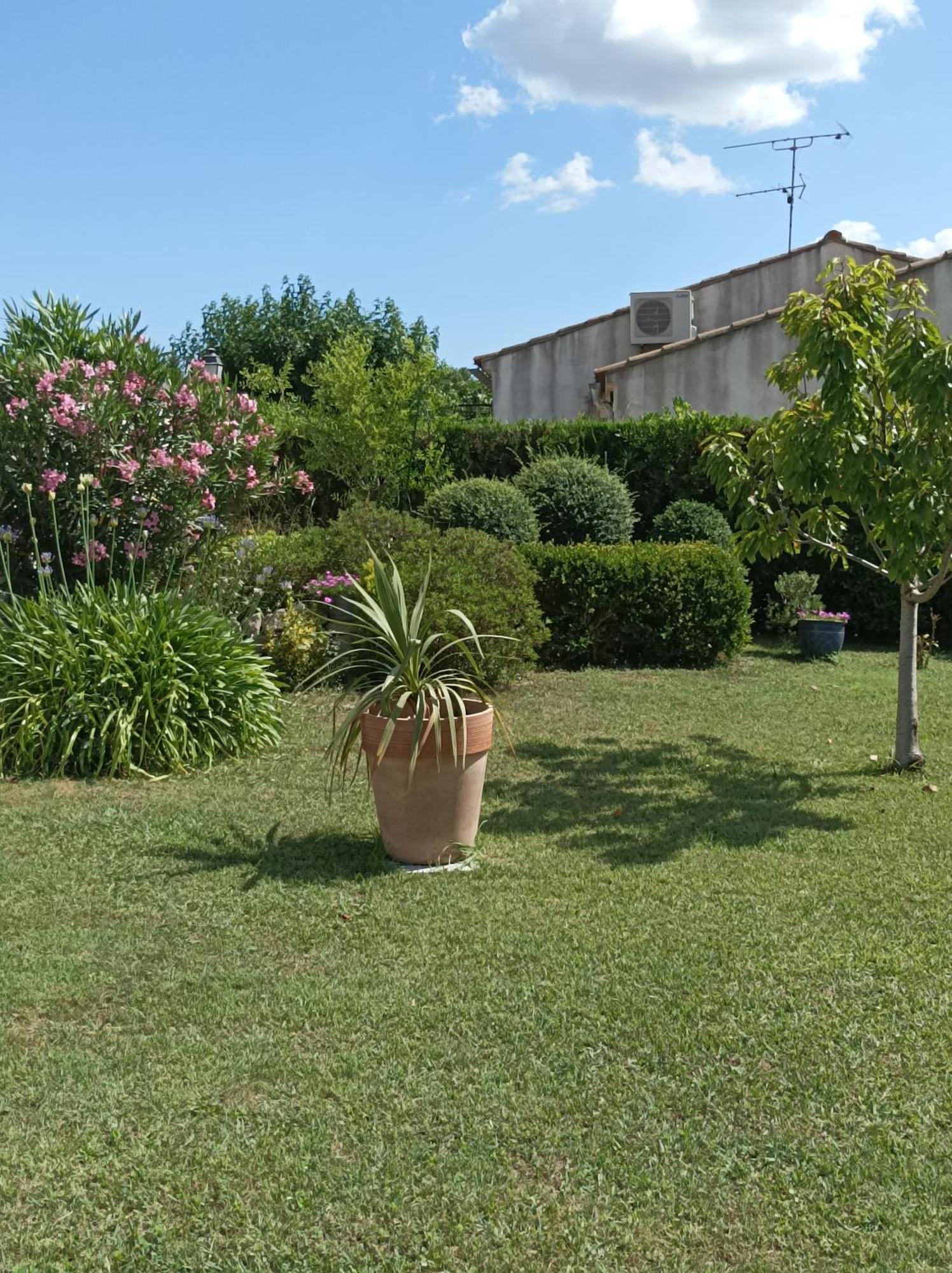 מורייס Chambre D'Hote Au Coeur Des Alpilles מראה חיצוני תמונה