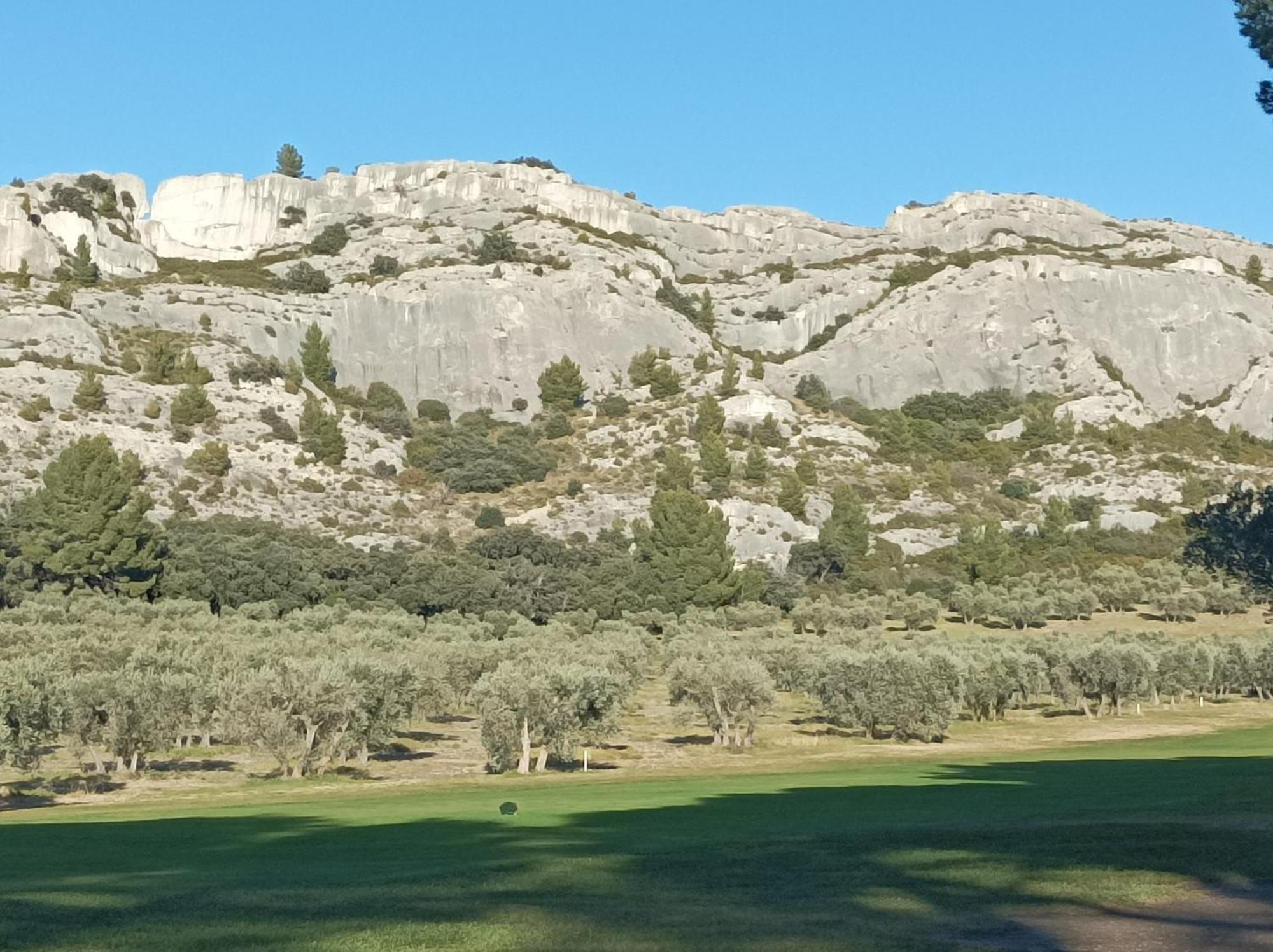 מורייס Chambre D'Hote Au Coeur Des Alpilles מראה חיצוני תמונה